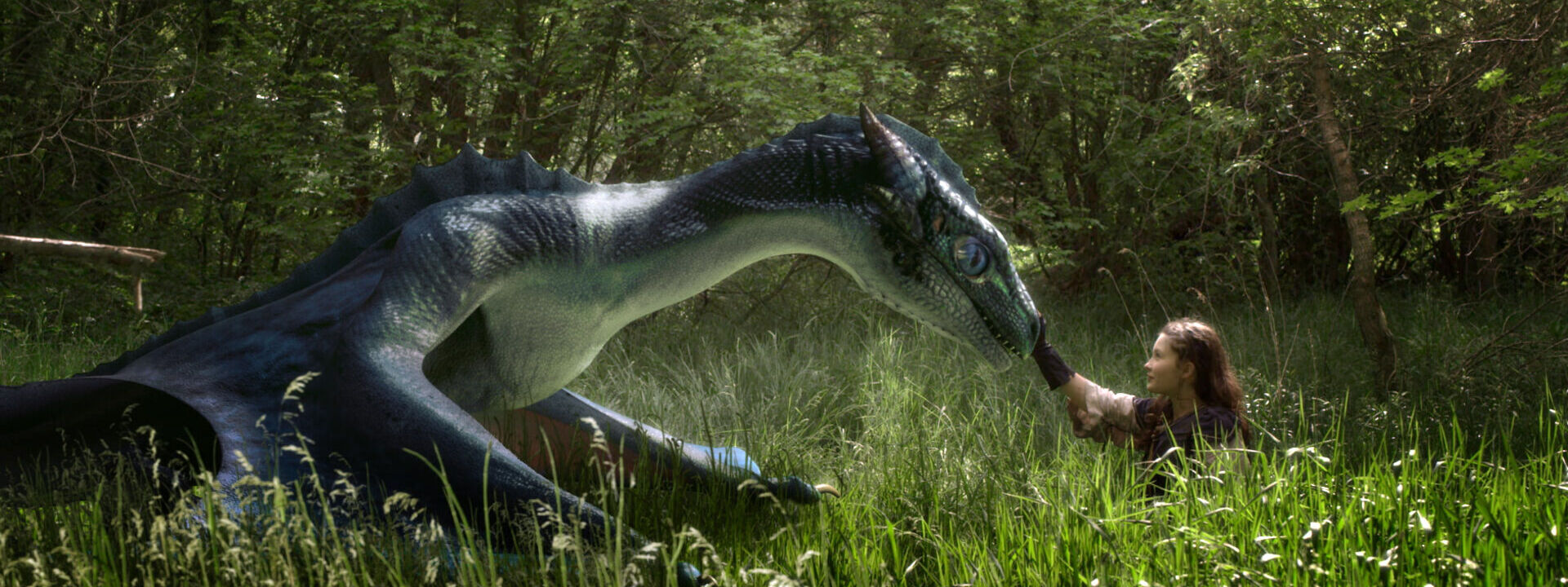 Der Weihnachtsdrache