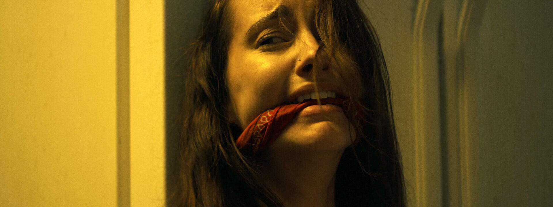 Night of the Missing