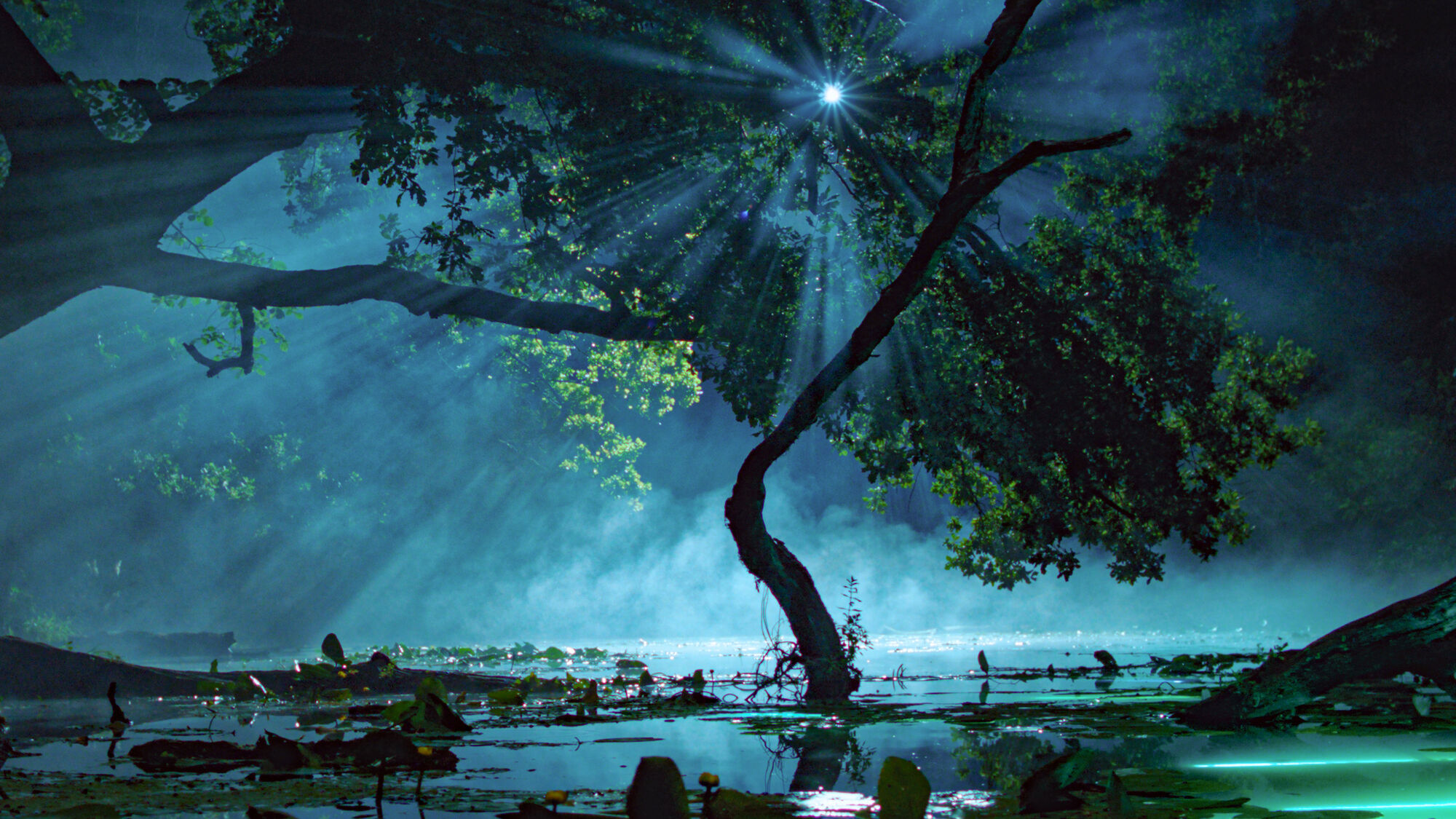 Scene Image 7