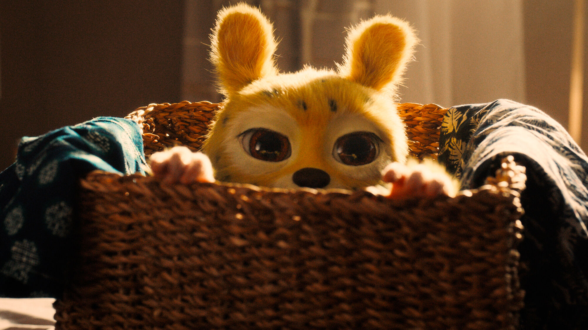 Scene Image 1
